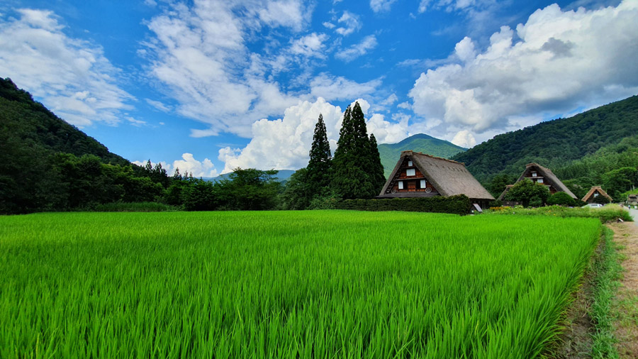 田舎の写真